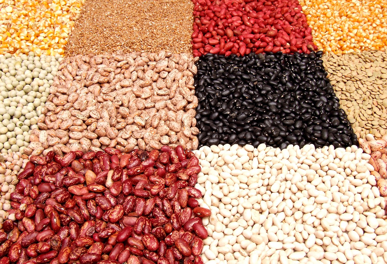 Os Benefícios do feijão na alimentação